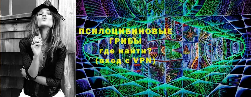 Галлюциногенные грибы прущие грибы  дарк нет наркотические препараты  Удомля  что такое  